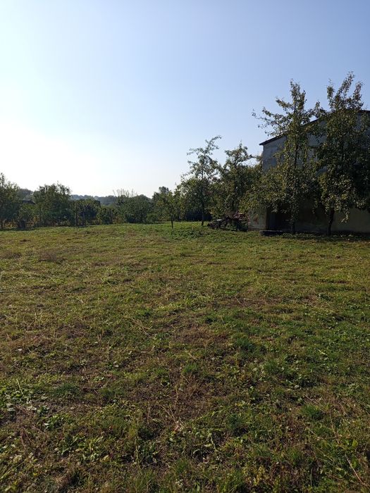 Косіння трави, покіс трави рубка дров, порізка патиків. Зачистка