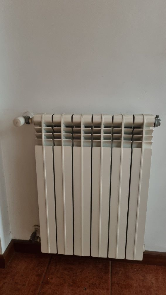 Conjunto de caldeira e 7 radiadores