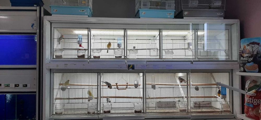 Bateria para aves , Gaiolas