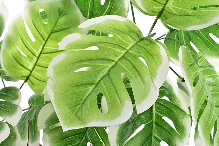 Monstera rododendron sztuczne kwiaty donica kompozycja liście prezent