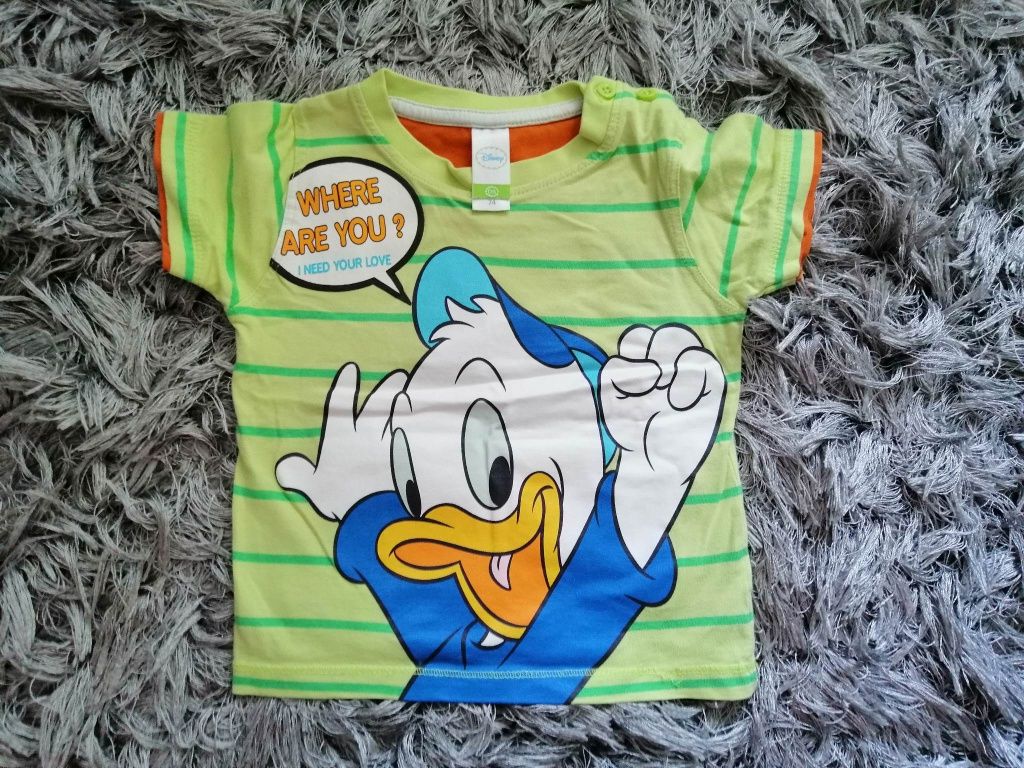 Koszulka, tshirt, 74, CA, Kaczor Donald