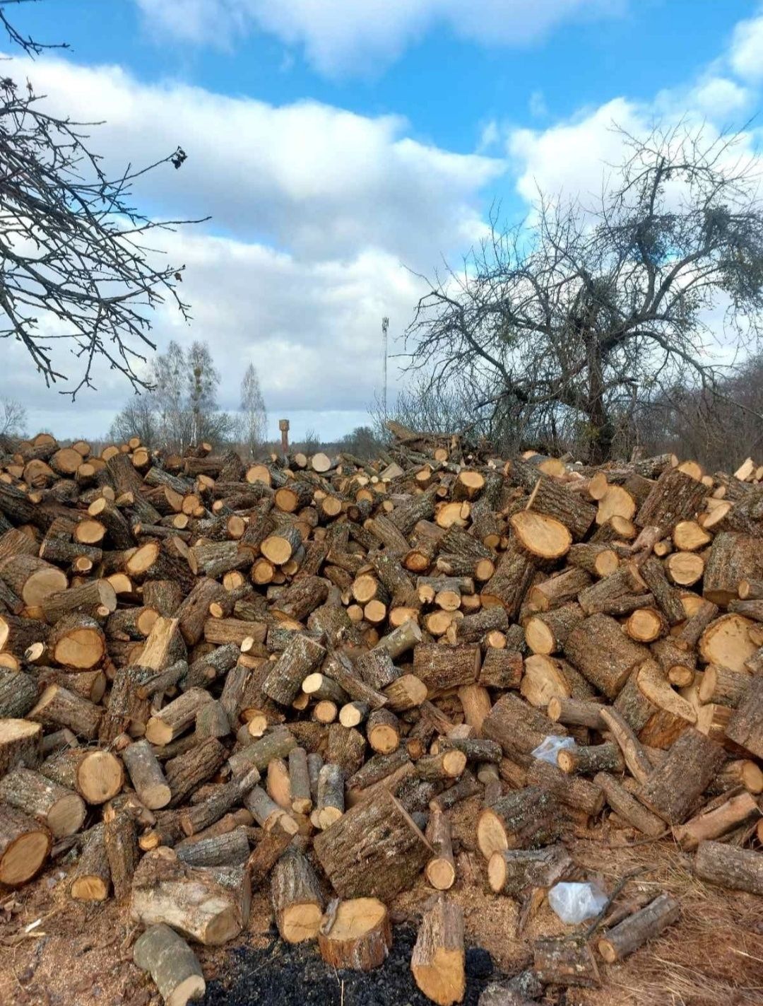 Дрова рубані в Складометрах