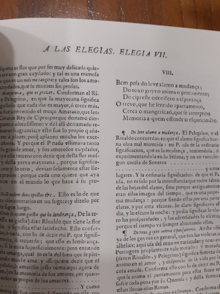 Vergel de Amor, elegia de Luis de Camões