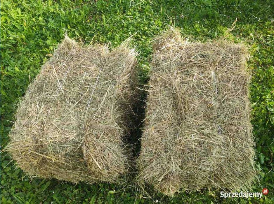 Siano kostki Buczek Łask Zelów