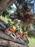Pilarki spalinowe Stihl ms 181/231/251