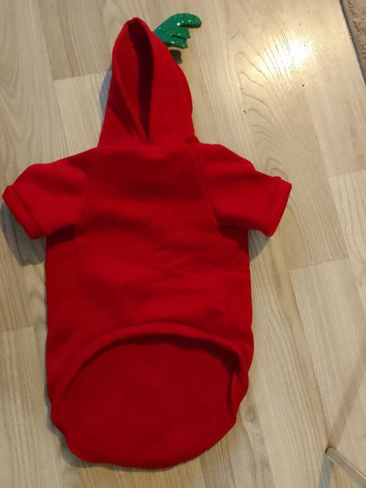 ubranko dla pieska