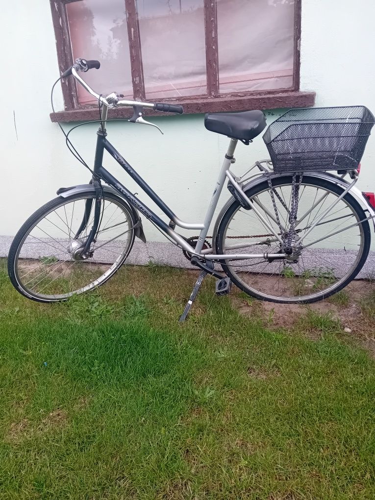 Rower holenderski