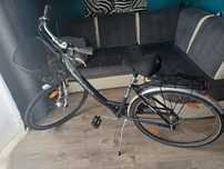 Rower miejski Pegasus