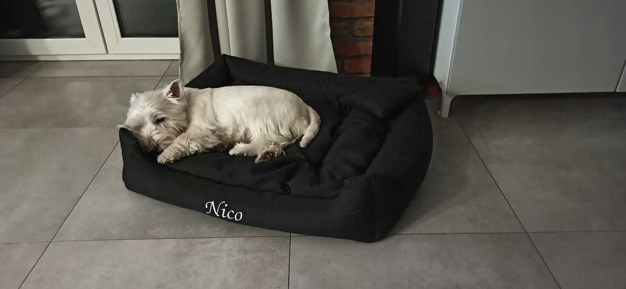 Wygodne legowisko kanapa dla psa małego średniego + GRATIS poduszka