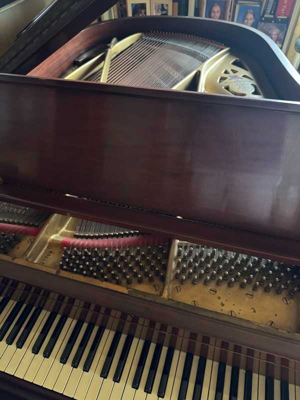 Chickering Baby Grand Piano