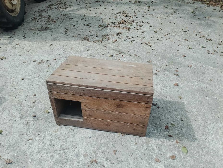 Domek Buda dla psa królika kota