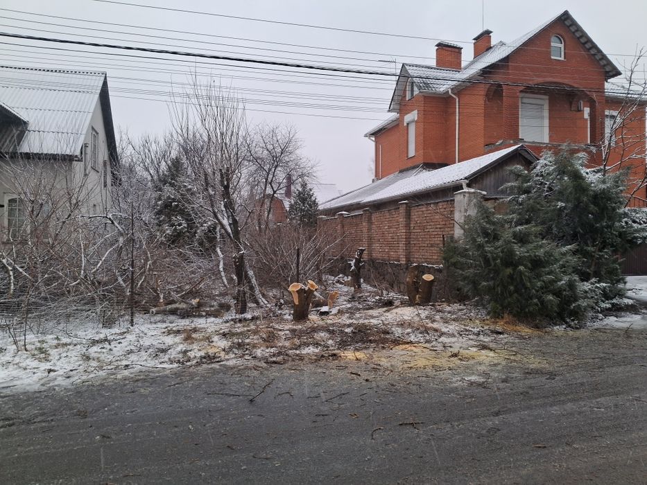 Спил дерев , обрізка фруктових дерев