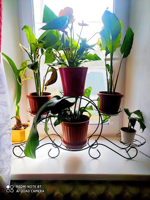 Підставка для квітів на 6 чаш «Карета», подставка для цветов