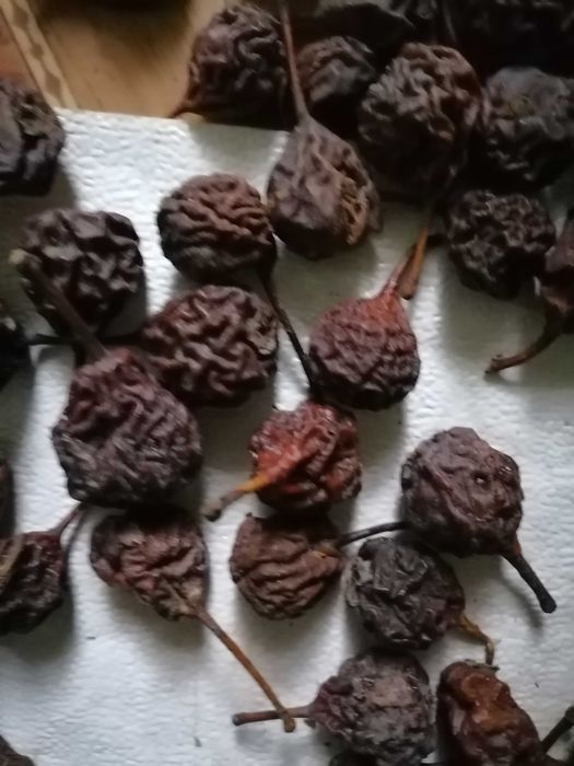 груша лимонка   еко