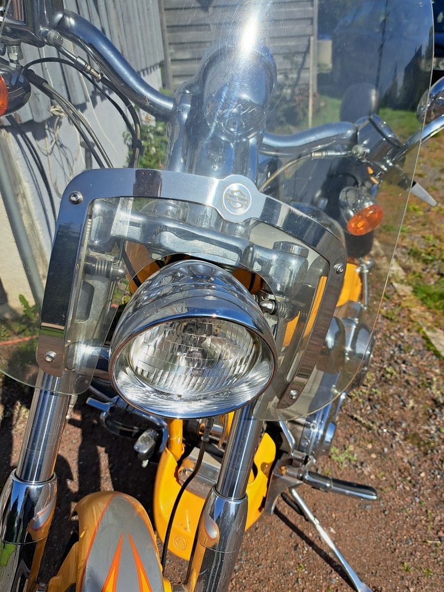 Harley Davidson 1450 motor