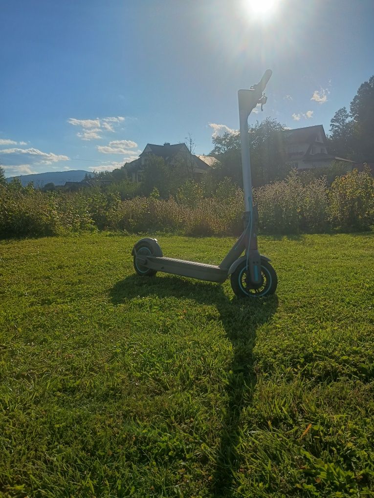 Hulajnoga elektryczna motus scooty 10 2022