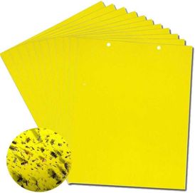 10 x żółte lepy do doniczek ziemiórki na mszyce zestaw