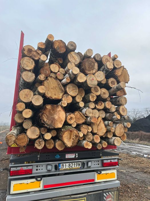 Drewno opałowe w wałkach –olcha, brzoza, buk, dąb, grab  z transportem