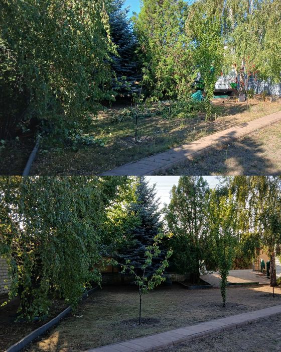 Генеральне прибирання ділянки