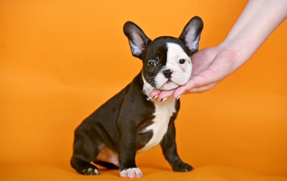 Хлопчик з дуже ексклюзивним забарвленням