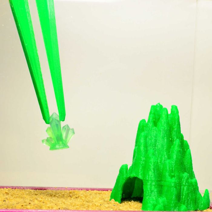 Колония муравьев жнец 25+ [ Messor structor / Мессор Структор ]