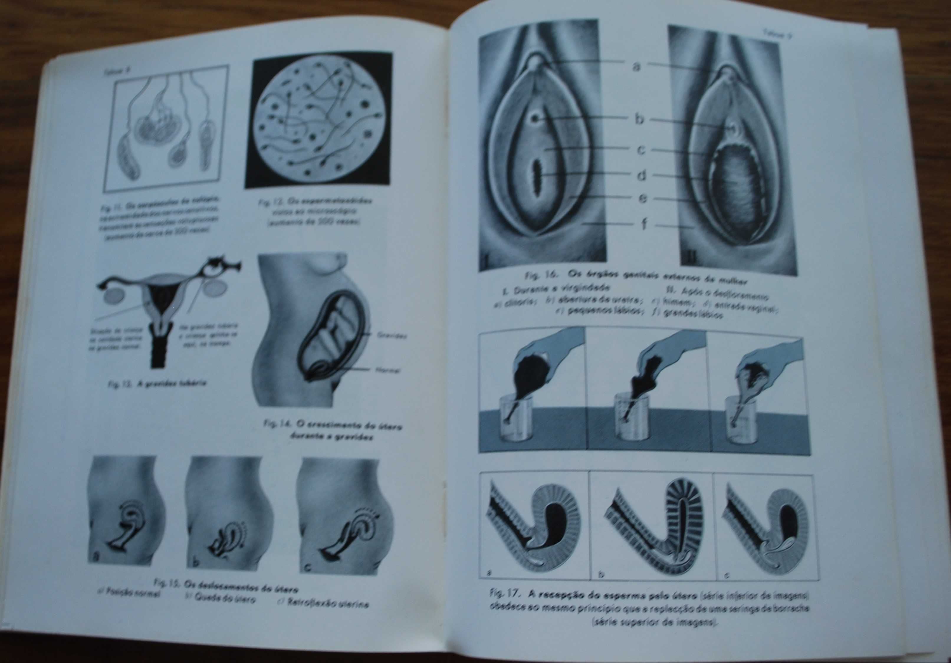 A Nossa Vida Sexual (Seus Problemas e Soluções) de Fritz Kahn