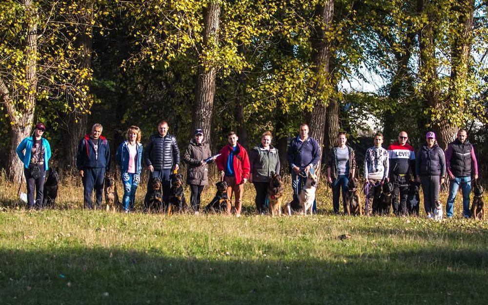 Ліцензований кінолог. Кропивницький