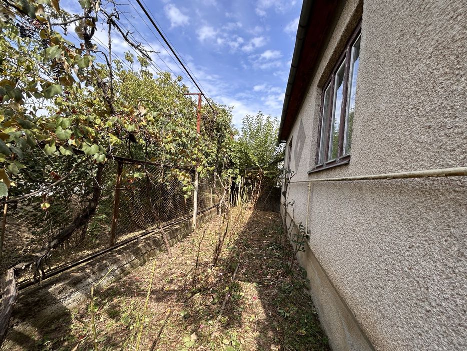 5-кімнатний будинок з площею 0,25 га с. Мочола 6 км від Берегова