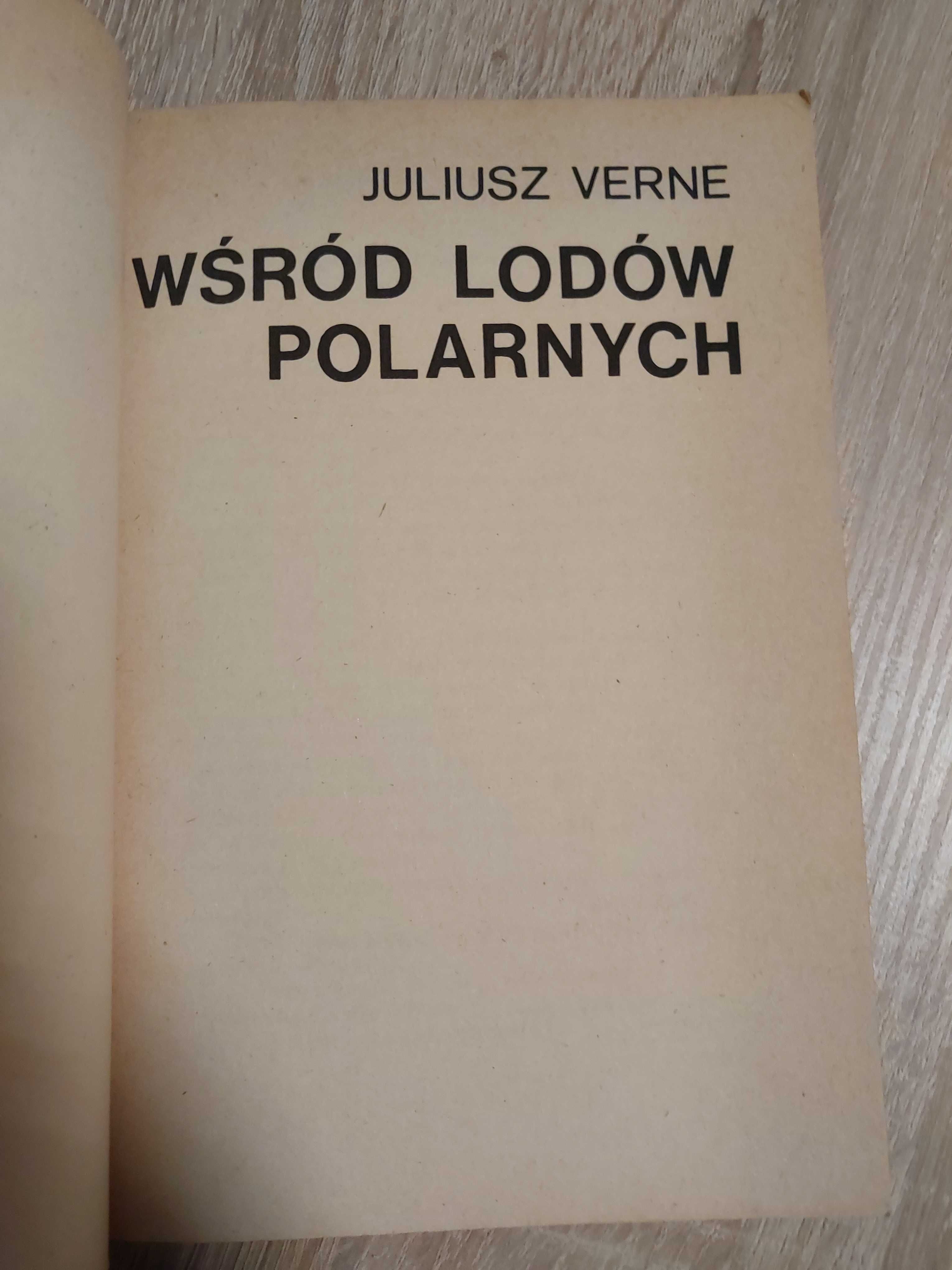 Wśród lodów polarnych