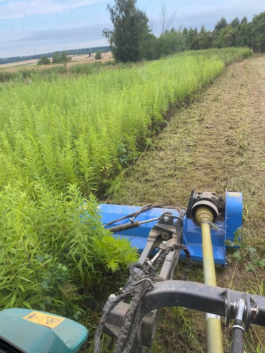 Usługi Ogrodnicze Koszenie Traw Wycinka Drzew/sadowCzyszczenie działek
