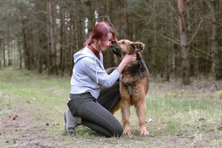 Adoptuj uroczego Kokoska