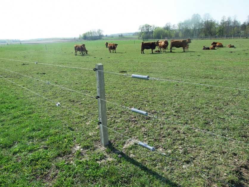 słupki betonowe wys 170cm, ogrodzenie, pastuch owce, kozy , ptactwo