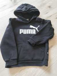 Bluza chłopięca Puma