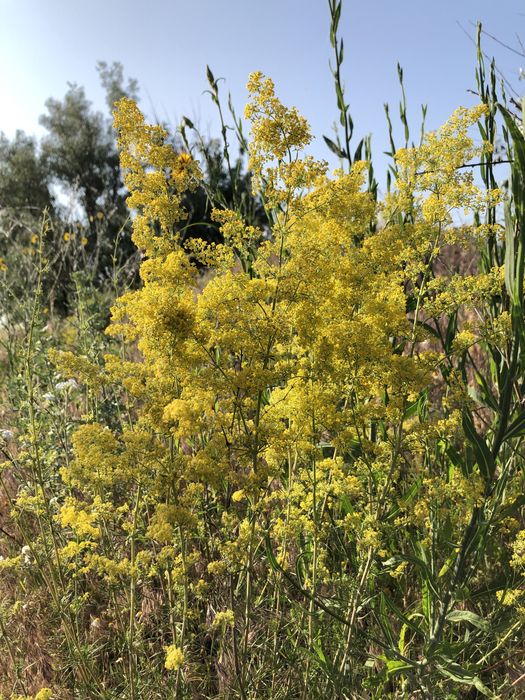 Сіль для ванни «Тихий вечір»