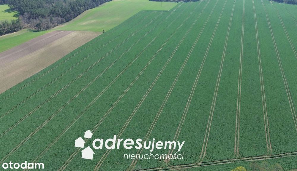 Działka rolna blisko jeziora