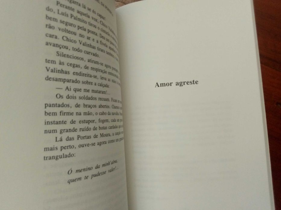 Manuel da Fonseca - O fogo e as cinzas