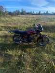 Альфа Мустанг 125
