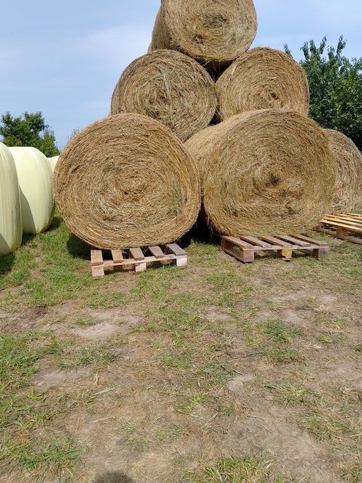 Sprzedam lub zamienię Sianokiszonka i siano