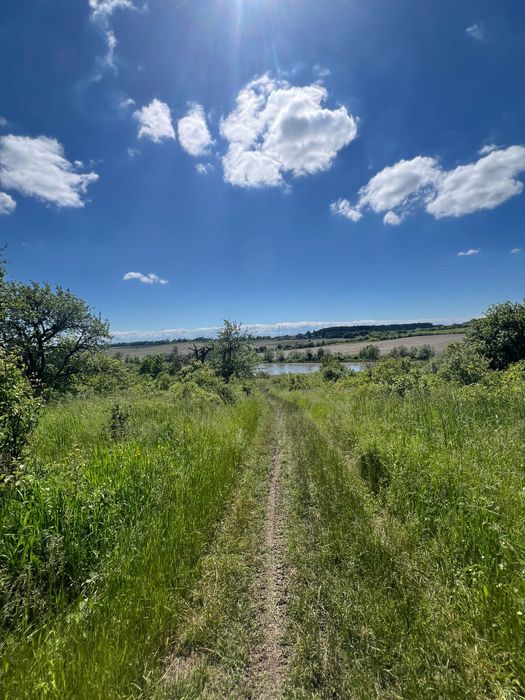 Земельна ділянка (пай)