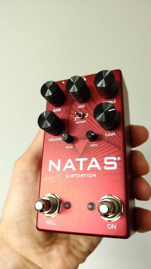preamp Fortin NATAS (Ampeg VH140 / Ampeg SS150)