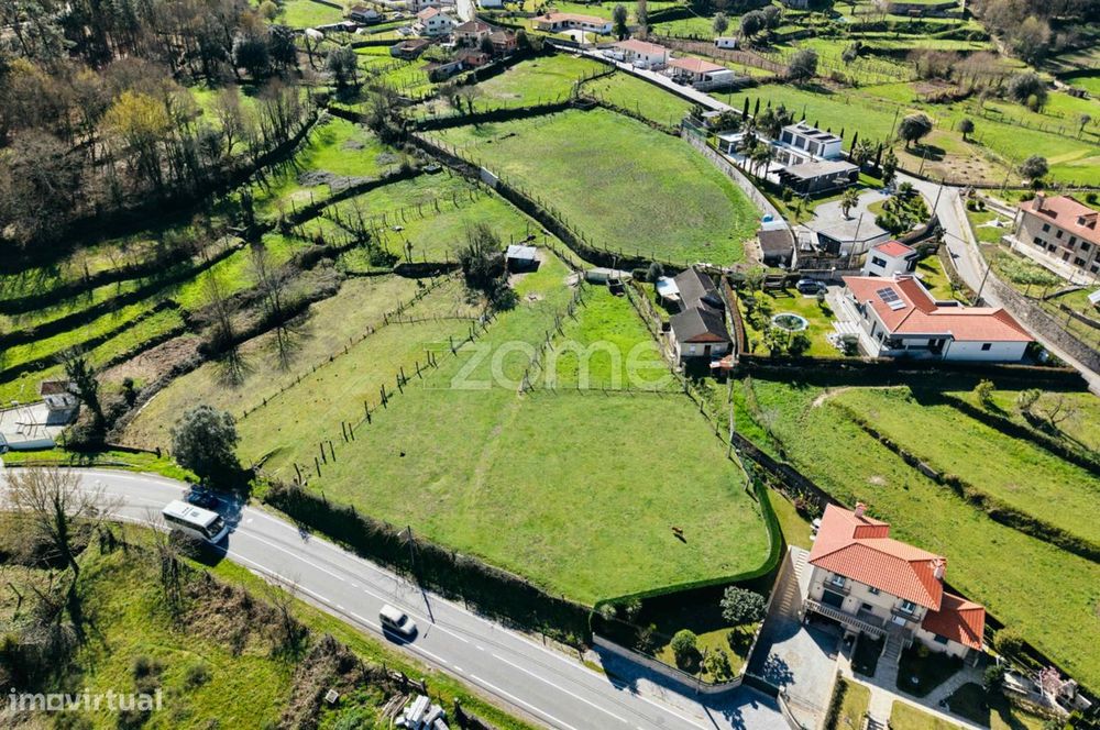 Terreno em Aguiã – Perfeito para Moradia ou Turismo Rural
