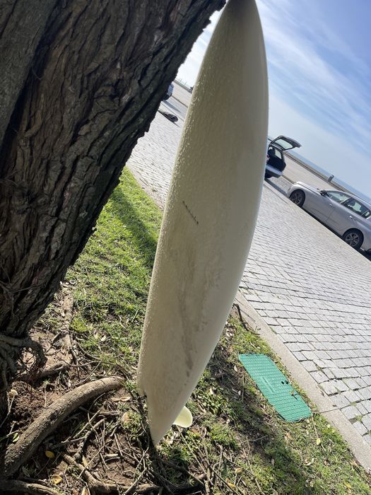 Manila twin fish 5,6