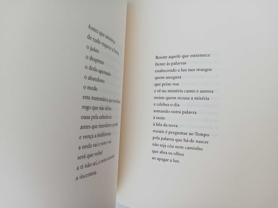 Miseriae - Ivo Machado