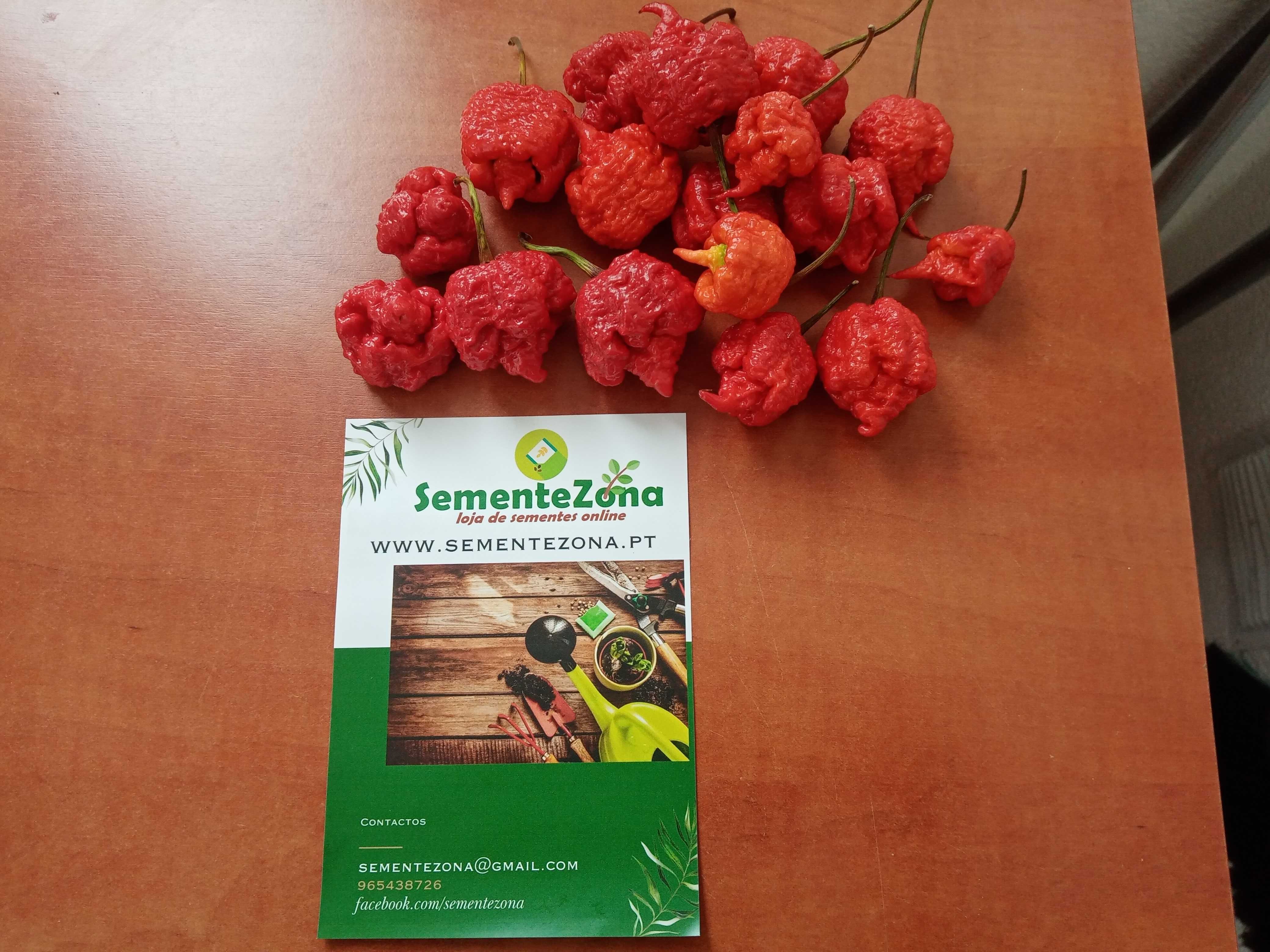 6 Sementes Pimenta Carolina Reaper Red