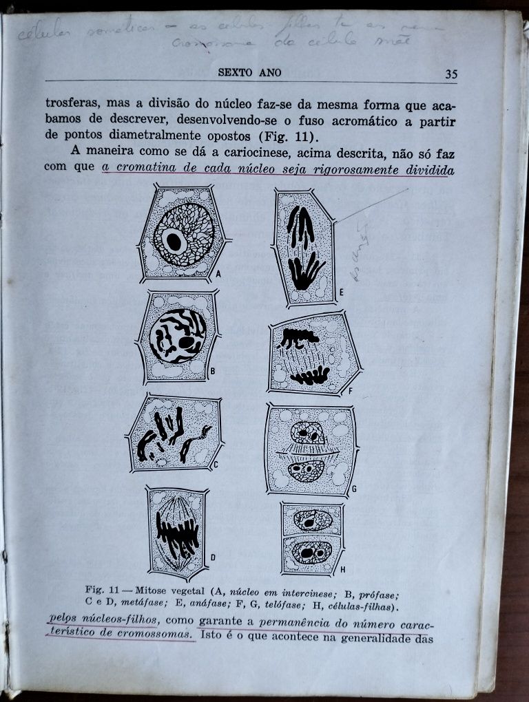 Antigo Compêndio de Biologia