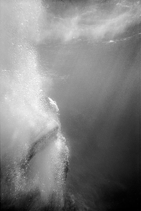 Nikon Nikonos V Nikkor 35mm 1:2.5 Sea&Sea 18mm 1:4 Speedlight SB-103