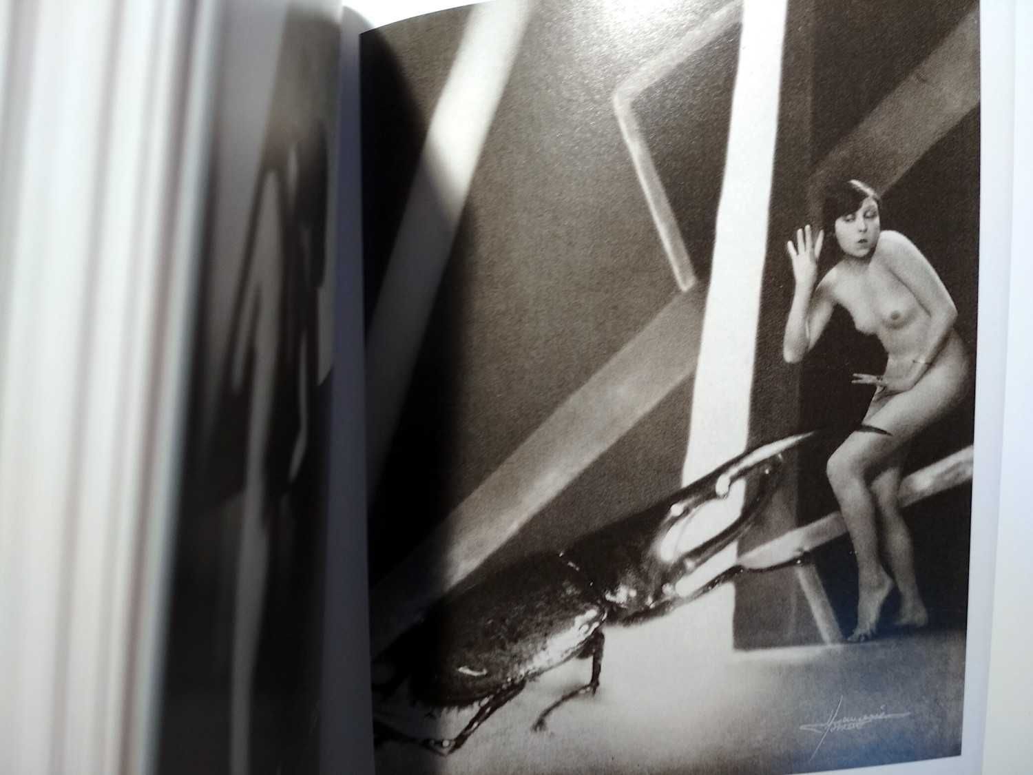 Taschen - 1000 Nudes (porte incluído)