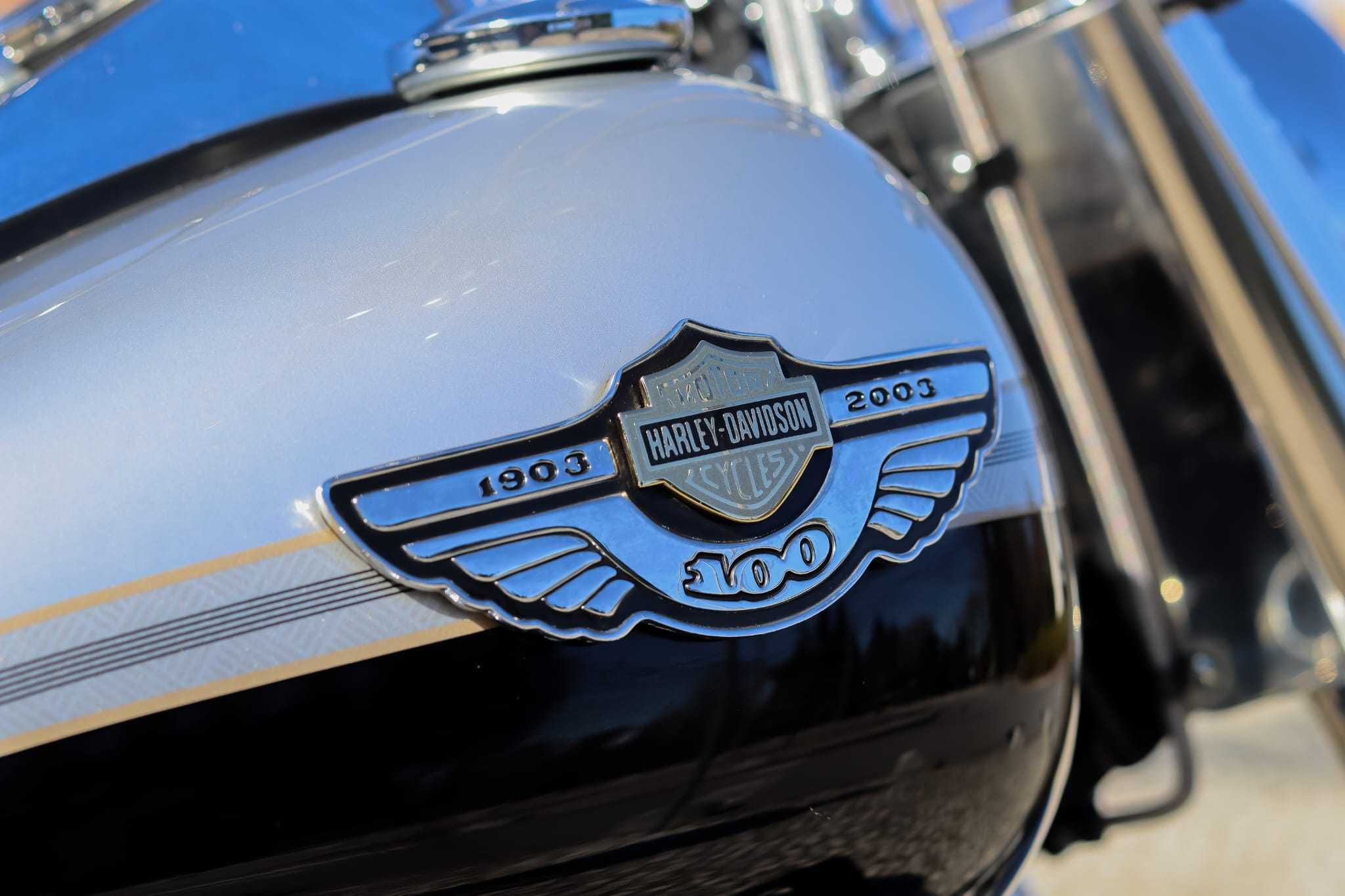Harley Davidson Fat Boy 100th