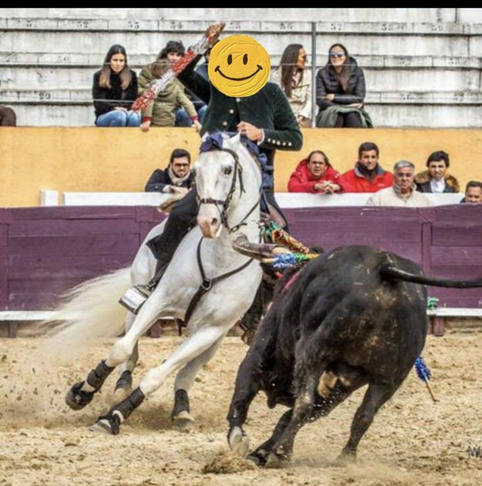 Égua Russa para venda