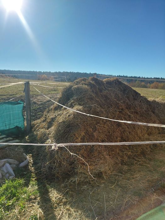 Oddam za darmo obornik konski Bialka kolo Blazowej